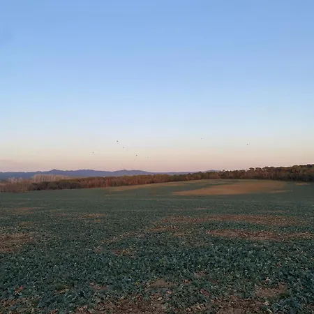 Mas Gelaberto